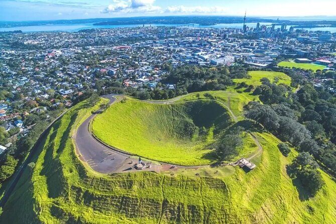 Private Auckland Sightseeing - Full Day/Half Day Hidden Gems Tour - Why This Tour Works for You