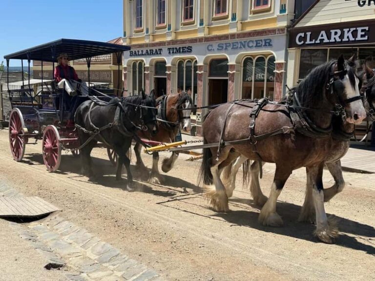 Private Ballarat Sovereign Hill Gold Mine Tours - Exploring the Itinerary: What Makes Each Stop Special