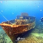 Private Bayahibe: Snorkeling Tour with Lunch and Cenote Swim - Practical Details and Tips