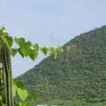 Private Beach Hike Sunrise Serenity - Exploring Anse Marcel Beach at the End