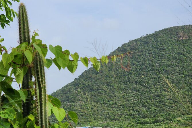 Private Beach Hike Sunrise Serenity - Exploring Anse Marcel Beach at the End