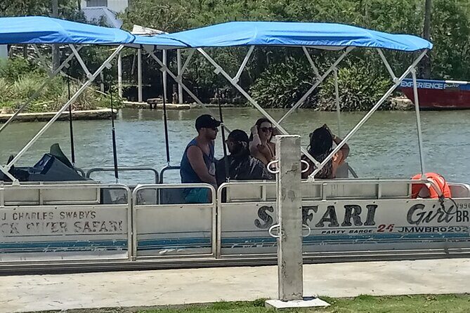 Private Black River Safari Guided Tour & YS Falls Tour - Practical Details and Tips