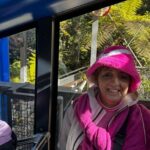 Private Blue Mountains Tour Scenic Views Wildlife and Adventure - Transport, Timing, and Comfort