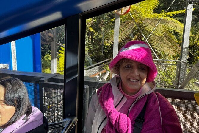 Private Blue Mountains Tour Scenic Views Wildlife and Adventure - Transport, Timing, and Comfort