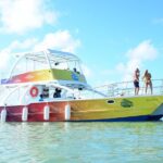 Private Catamaran Cruise with Open Bar  Punta Cana - Potential Drawbacks and Tips