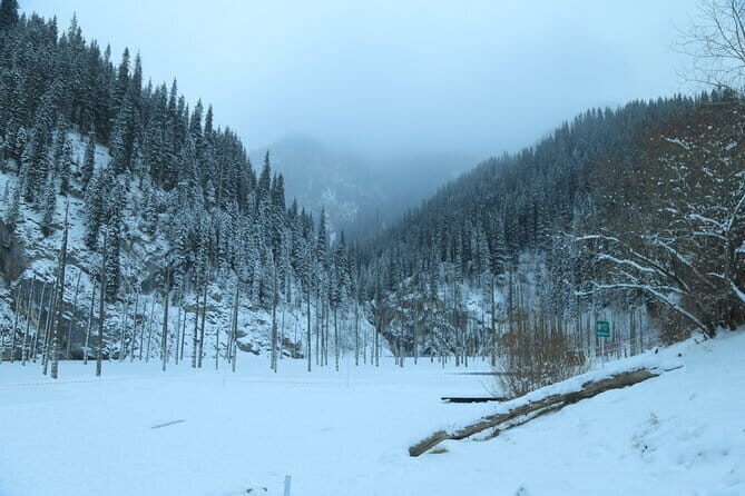 Private Charyn Canyon, Kolsai Lake with Optional Kaindy Lake tour - The Itinerary in Detail