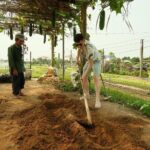 Private Countryside Tour by Lady Scooter in Hoi An - Who Will Love This Tour?