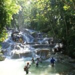 Private Dunn's River Falls Tour from Falmouth - Value and Pricing