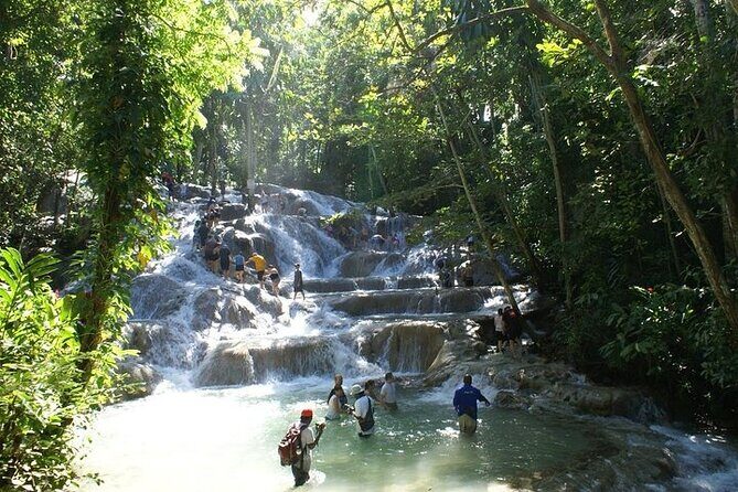 Private Dunn's River Falls Tour from Falmouth - Value and Pricing