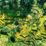 Private East Bali Highlights Tour with Customizable Itinerary - Practical Details and Tips