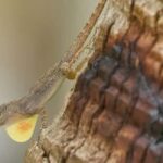 Private: Emerald Coast Mountain Escape from Punta Cana - An Authentic Taste of the Dominican Countryside