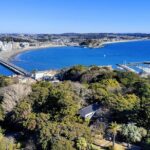 Private Enoshima and Kamakura Custom Walking Tour - Transportation and Timing: Comfort and Convenience