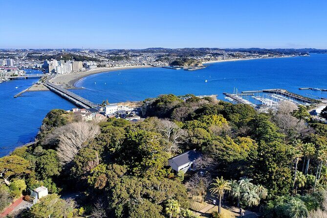Private Enoshima and Kamakura Custom Walking Tour - Transportation and Timing: Comfort and Convenience