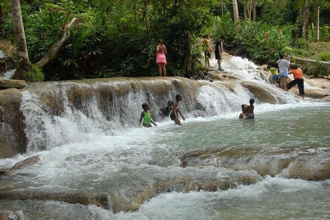 Private Full Day Blue Hole and Dunns River Shore Excursion from Falmouth - What to Expect from the Tour