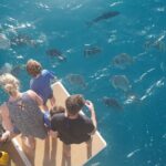 Private full day catered & crewed yacht charter- Airlie Beach - Final Thoughts