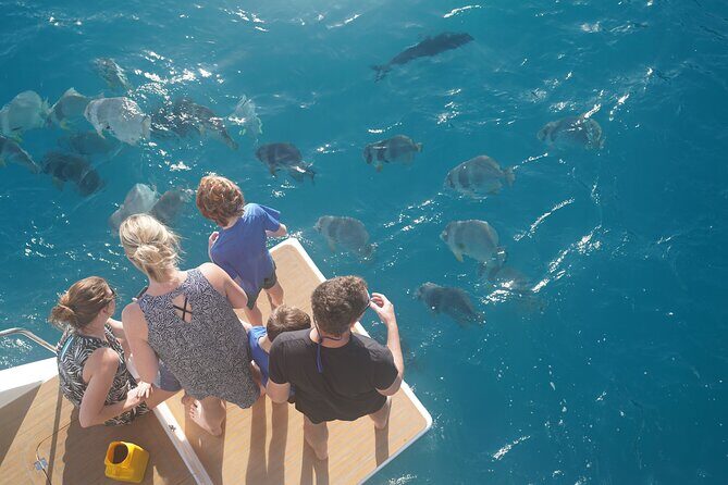 Private full day catered & crewed yacht charter- Airlie Beach - Final Thoughts