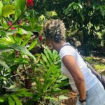 Private Grenada Island Tour Rum, Spice Garden & Grand Anse Beach - Practical Details & What to Expect