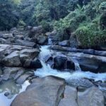 Private Guided Tour in Puerto Rico - What Makes This Tour Stand Out?