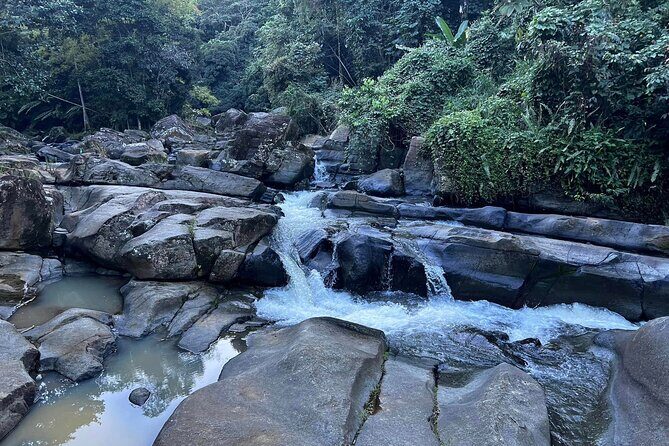 Private Guided Tour in Puerto Rico - What Makes This Tour Stand Out?
