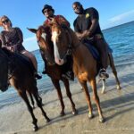 Private Horseback Riding And Ricks Cafe Tour. - Final Thoughts: Is This Tour Worth It?