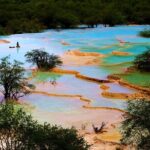 Private Huanglong Park Day Tour by Bullet Train from Chongqing - Practical Details That Matter