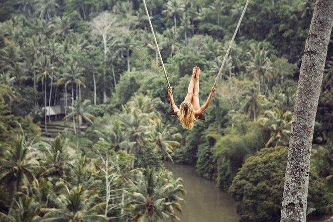 Private Inclusive Tour: The Best Of Ubud With Jungle Swing - Why This Tour Offers Good Value