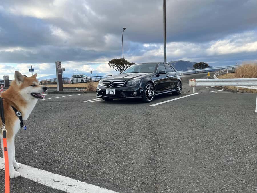 Private JDM scene tours to Daikoku PA, Umihotaru and Hakone - The Practicalities: What You Need to Know