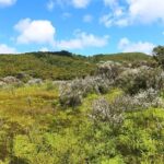 Private Kaitoke Hot Springs Soak and Walk Tour in Great Barrier - What Makes This Tour Special?