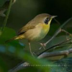 Private: Kayak Adventure at Los Haitises Sunrise Exploration - Final Thoughts