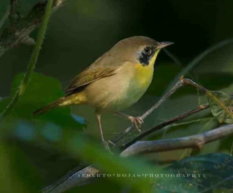 Private: Kayak Adventure at Los Haitises Sunrise Exploration - Final Thoughts