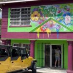 Private Local Flavors and Artisan Tour of Nassau - A Deep Dive into the Nassau Flavors and Artisans Tour