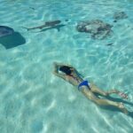 Private Marine Excursion and snorkeling in the lagoon of Moorea - Why This Tour Offers Value