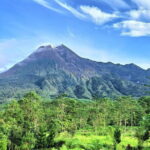 Private Merapi Volcano 4WD Jeep Tour from Yogyakarta - Who Should Consider This Tour?