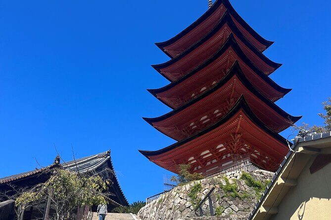 Private Miyajima Island Tour with Local Guide - Who Is This Tour Perfect For?