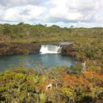 Private One Day Tour through The Deep South - A Deep Dive into the Tour Experience