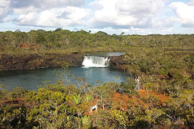 Private One Day Tour through The Deep South - A Deep Dive into the Tour Experience