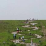 Private Pykara Lake Tour in Ooty with Car - Detailed Overview of the Itinerary