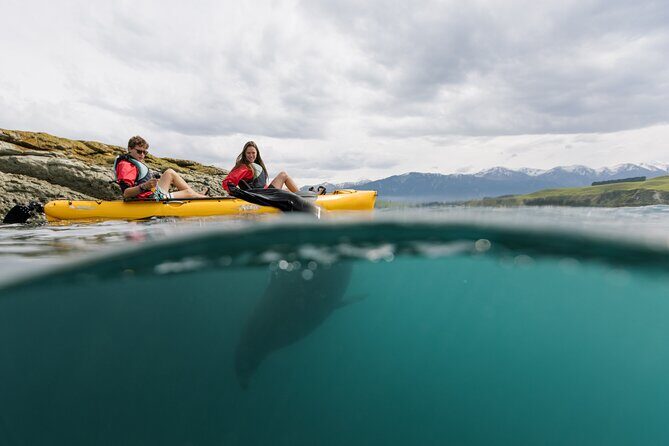 Private Seal Kayaking and Wildlife Tour in Kaikoura - Why This Tour Is a Great Choice