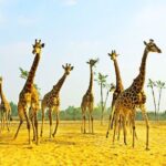 Private Seasonal Day Tour to Beidaihe from Beijing with Birding Experience - Breaking Down the Itinerary