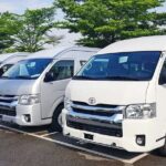 Private Shopping Tour from Sydney hotels to DFO Homebush - Practical Details and Insights