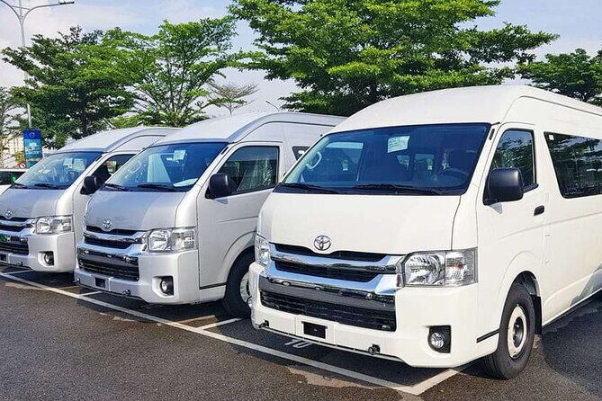 Private Shopping Tour from Sydney hotels to DFO Homebush - Practical Details and Insights