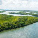 Private Shore Tour: Seafood Sail Cruise Port Douglas - Real Insights from Guests