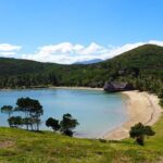 Private Sightseeing Tours - The Guide: A Highlight