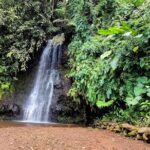 Private Tahiti Island Discovery Tour  5.5 Hours - Who Would Love This Tour?