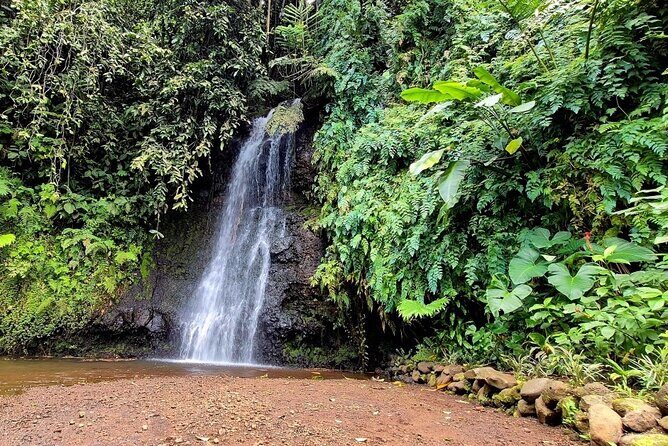 Private Tahiti Island Discovery Tour  5.5 Hours - Who Would Love This Tour?