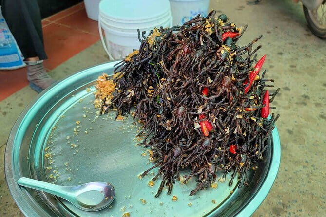 Private Taxi Phnom Penh To Siem Reap Include Floating Villages - Skun Spider Sanctuary (15 mins)