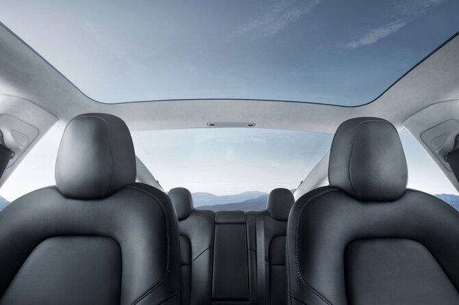 Private Tesla Transfer: Auckland, Tauranga, Rotorua, Taupo - The Practical Details That Matter