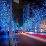 Private Tokyo Holiday Lights and Christmas Market Walk - Practical Details and Value