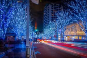 Private Tokyo Holiday Lights and Christmas Market Walk - Practical Details and Value