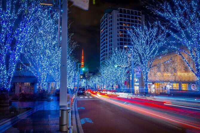 Private Tokyo Holiday Lights and Christmas Market Walk - Practical Details and Value